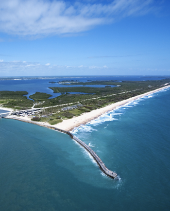 Cat Sitters in Melbourne, FL