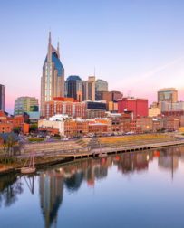 Cat Sitters in Nashville, TN