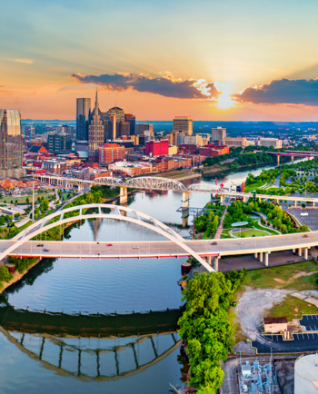 Cat Sitters in Nashville, TN