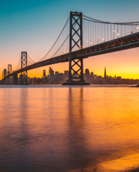 Cat Sitters in Oakland, CA