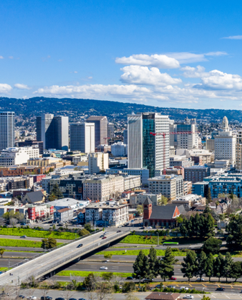 Cat Sitters in Oakland, CA