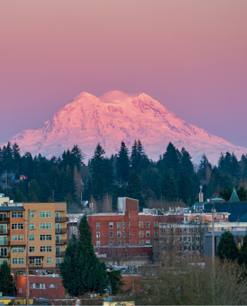 Cat Sitters in Olympia, WA