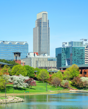 Cat Sitters in Omaha, NE