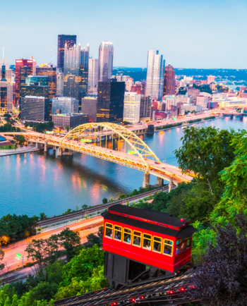 Cat Sitters in Pittsburgh, PA