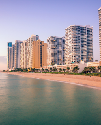 Cat Sitters in Pompano Beach, FL
