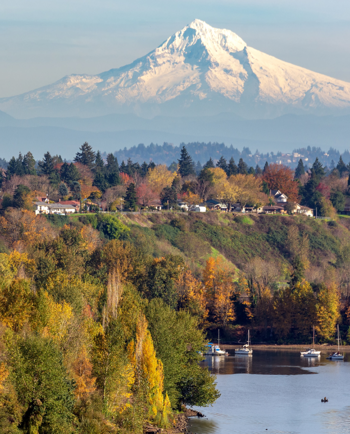 Cat Sitters in Oregon