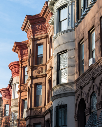 Cat Sitters in Prospect Heights, IL