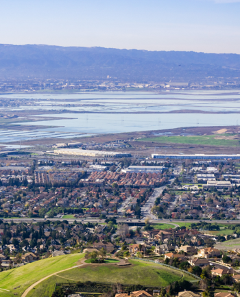 Cat Sitters in Redwood City, CA