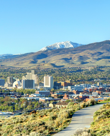 Cat Sitters in Reno, NV