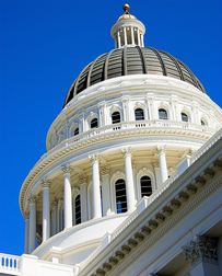 Cat Sitters in Sacramento, CA