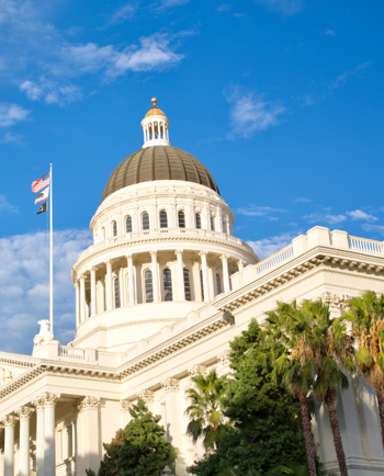 Cat Sitters in Sacramento, CA