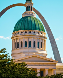 Cat Sitters in Saint Louis, MO