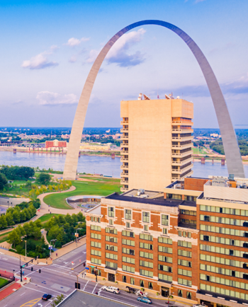 Cat Sitters in Saint Louis, MO