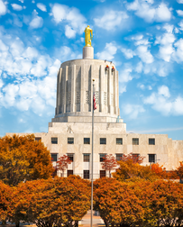 Cat Sitters in Salem, OR