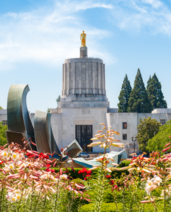 Cat Sitters in Salem, OR