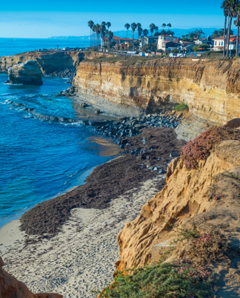 Cat Sitters in San Diego, CA