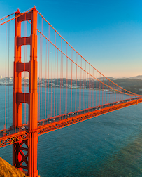 Cat Sitters in San Francisco, CA