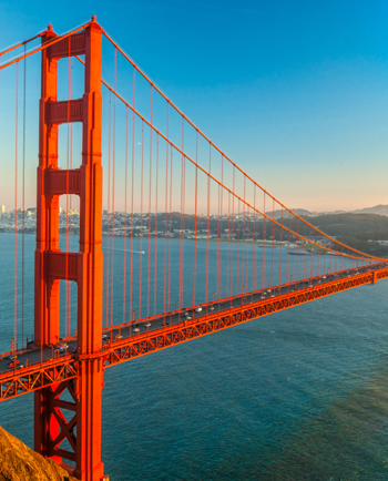 Cat Sitters in San Francisco, CA