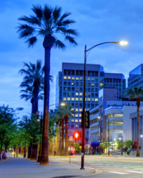 Cat Sitters in San Jose, CA