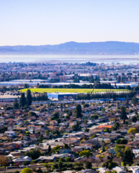 Cat Sitters in San Mateo, CA