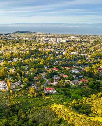 Cat Sitters in San Mateo, CA