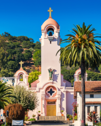 Cat Sitters in San Rafael, CA