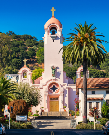 Cat Sitters in San Rafael, CA