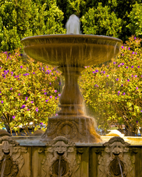 Cat Sitters in Sausalito, CA