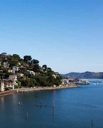 Cat Sitters in Sausalito, CA
