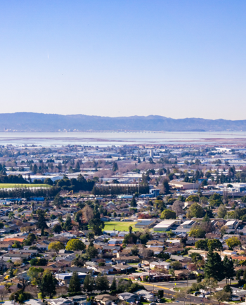 Cat Sitters in Union City, CA