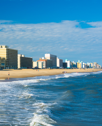 Cat Sitters in Virginia Beach, VA
