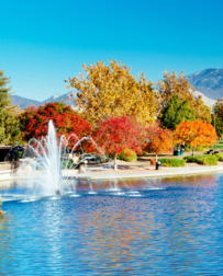 Cat Sitters in Walnut Creek, CA