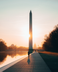 Cat Sitters in Washington, DC