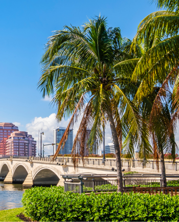 Cat Sitters in West Palm Beach, FL