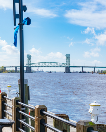 Cat Sitters in Wilmington, NC